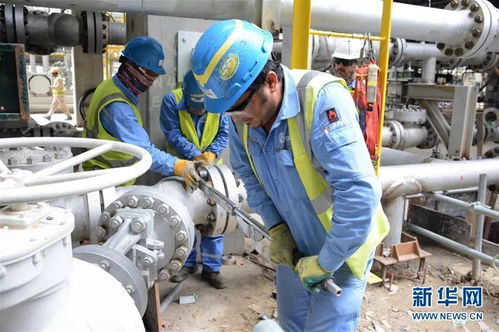 攜手共進，開創未來 科威特王子與中國伙伴的戰略合作探索