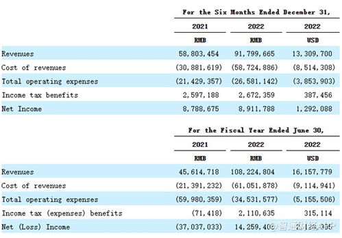 重銷售輕研發，致?？萍几懊繧PO成長性迎考，單一業務依賴風險凸顯